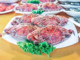 Steam flower crab on a plate photo