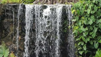 Waterfall, wild nature video