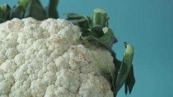 Cerca de la cabeza de la coliflor ligeramente dorada video