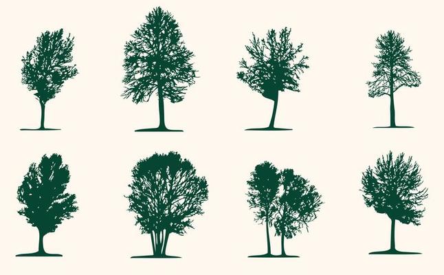 A set of tree silhouettes 8 pieces. Trees for you