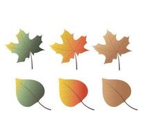 colección de coloridas hojas de otoño. colores cálidos y brillantes de otoño vector