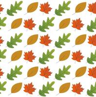 warm and colorful autumn illustrations. leaves and berries, acorns and thin branches vector
