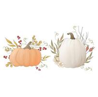 calabaza de otoño jugosa y madura decorada con plantas y flores vector