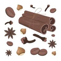 a set of aromatic spices. cinnamon, star anise, nuts, cloves and coffee beans vector