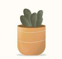 Cactus and succulent plants in pots. Simple cartoon vector style.