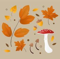 mushrooms acorns and seeding leaves. forest collection illustration vector