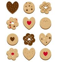 deliciosas galletas de diferentes formas y con diferentes sabores vector