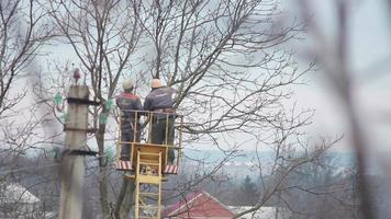 working on a special machine cut tree branches video