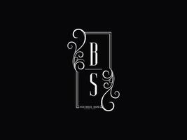 Initials BS Logo Image, Luxury Bs sb Letter Logo Design vector