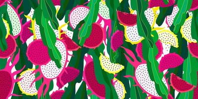 Summer seamless pattern with tropical fruit. Vector floral repeatable backdrop. Magenta and yellow dragonfruits with green stems background.