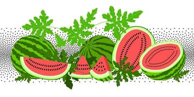 Watermelon fruits, leaves and seeds set. Hand drawn graphic summer collection. Healthy food elements. vector