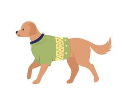 lindo perro grande con traje de suéter de navidad carácter vectorial de color semiplano. figura editable. animal de cuerpo completo en blanco. ilustración de estilo de dibujos animados simple para diseño gráfico web y animación vector