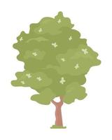 árbol en flor objeto de vector de color semiplano. elemento editable. artículo de tamaño completo en blanco. crecimiento de la vegetación. ilustración de estilo de dibujos animados simple de planta de ciudad para diseño gráfico web y animación