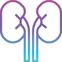 kidney organ healthcare medical - gradient icon vector