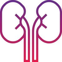 kidney organ healthcare medical - gradient icon vector