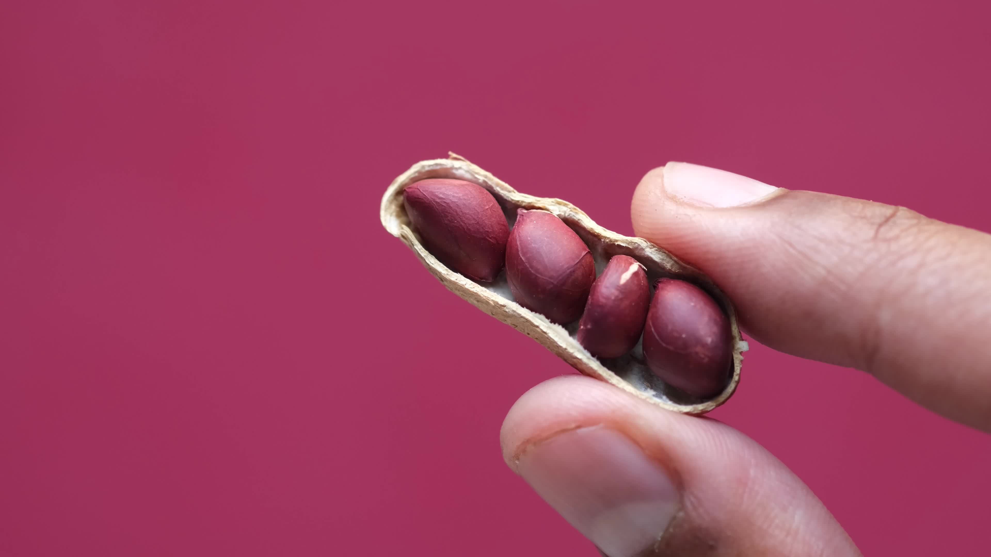 Close up of peanuts in the shell 14058028 Stock Video at Vecteezy
