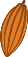 cacao fruit doodle freehand drawing flat deesign. png