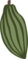 cacao fruit doodle freehand drawing flat deesign. png