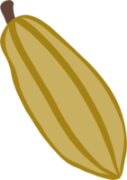 cacao fruta doodle dibujo a mano alzada diseño plano. png