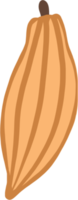 cacao fruit doodle freehand drawing flat deesign. png