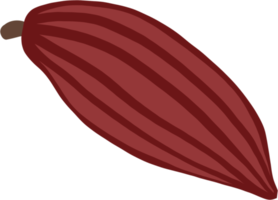 cacao fruit doodle freehand drawing flat deesign. png