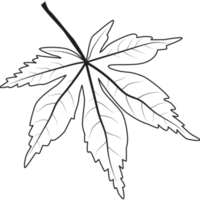 Grape leaf. Outline illustration of grape leaf png