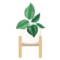 Urban jungle, trendy home decor with plant illustration, tropical leaves in stylish in pot