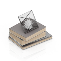 isometrico libri 3d rendere png