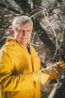 Pruning In The Orchard photo