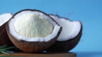 Open coconuts on a blue background video