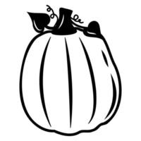 Autumn vegetable pumpkin, black outline, vector isolated illustration in doodle style