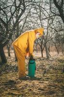 Spraying In The Orchard photo