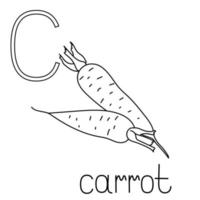 Coloring page fruit and vegetable ABC, Letter C - carrot, educated coloring card vector