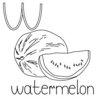 Coloring page fruit and vegetable ABC, Letter W - watermelon, educated coloring card vector