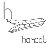 Coloring page fruit and vegetable ABC, Letter H - haricot, educated coloring vector