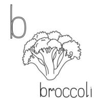 Coloring page fruit and vegetable ABC, Letter B - broccoli, educated coloring card vector