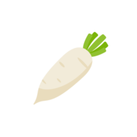 ingrédients de radis blanc pour une cuisine saine png