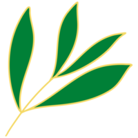 Leaves with Golden Line Art png