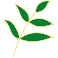 Leaves with Golden Line Art png