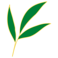 Leaves with Golden Line Art png