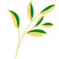 Leaves with Golden Line Art png