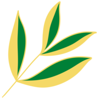 Leaves with Golden Line Art png