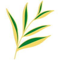 Leaves with Golden Line Art png