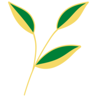 Leaves with Golden Line Art png