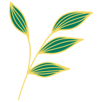 Leaves with Golden Line Art png