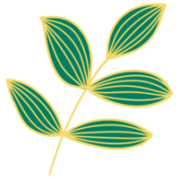 Leaves with Golden Line Art png