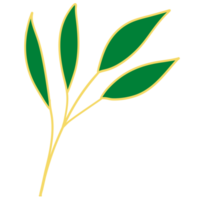 Leaves with Golden Line Art png