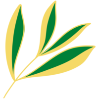 feuilles avec dessin au trait doré png