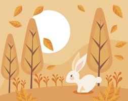 rabbit in autumn scene vector