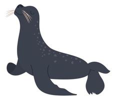 seal sealife animal vector